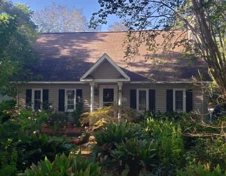 Overgrown House